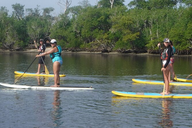 Full-Day Paddle Board Rental in Naples, Florida - San Marco Island Adventure