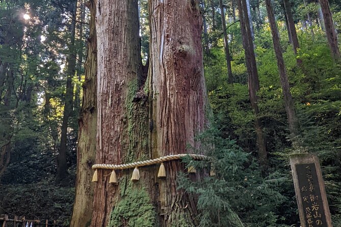 Full-Day Private Adventure in Ibaraki and Fukuroda Waterfalls - Oiwa Shrine and Mount Oiwa
