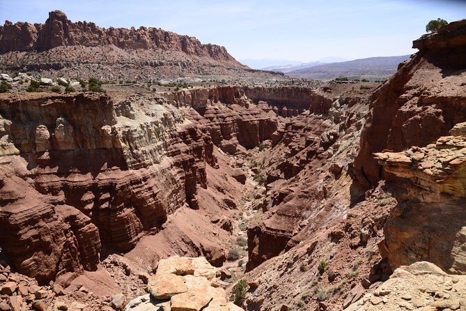 Full-Day Private Guided Llama Hikes Review - Schedule and Availability