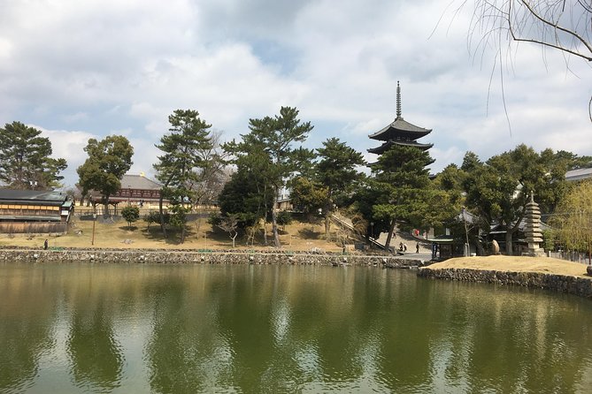 Full-Day Private Guided Tour to Nara Temples - Inclusions and Costs