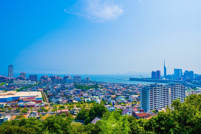 Full Day Private Shore Tour in Fukuoka From Sasebo Cruise Port - Included Services