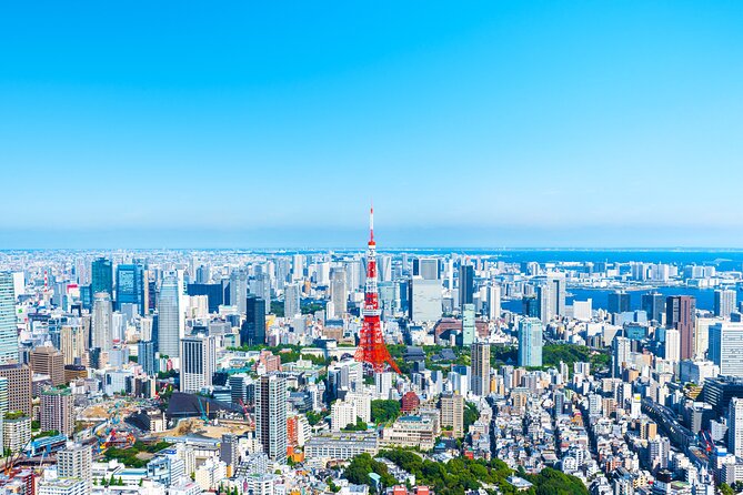 Full Day Private Shore Tour in Tokyo From Yokohama Cruise Port - Tour Inclusions