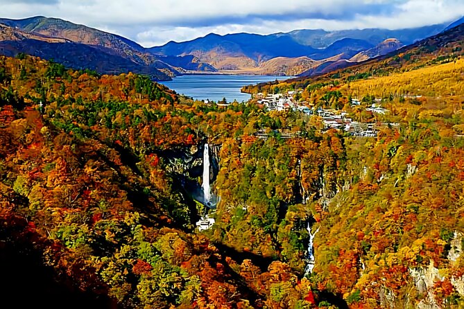 Full Day Private Tour in Nikko - Meeting and Pickup