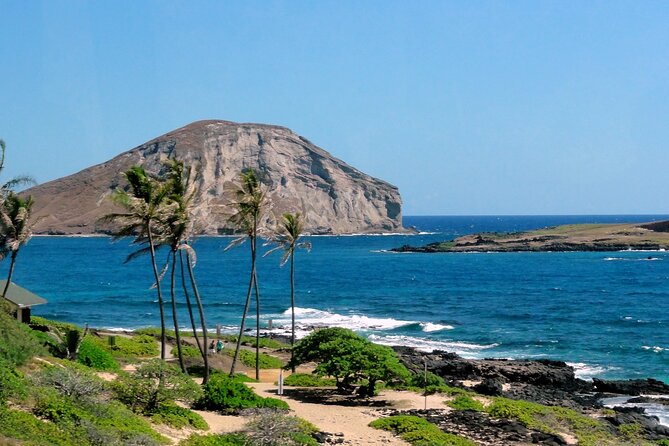 Full-Day Private Tour in South Shore of Oahu With Local Guide - Booking Information
