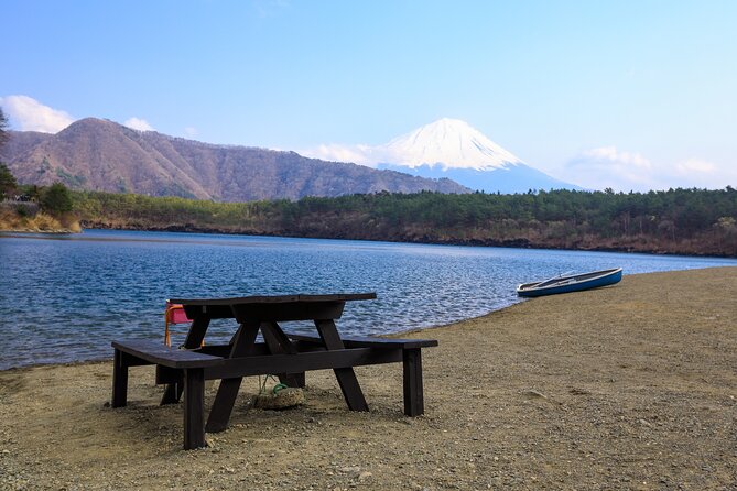 Full Day Private Tour Mt. Fuji, Hakone and Lake Ashi - Tour Guide and Participation