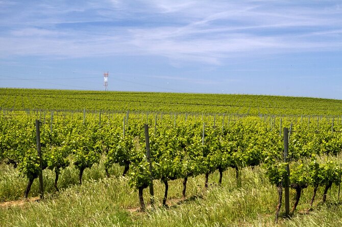 Full Day Private Transfer - Lisbon to Algarve Tour - Inclusions and Amenities