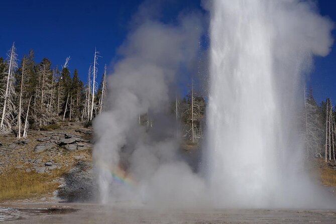 Full Day Private Yellowstone Tour Review - Participant Information