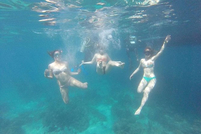Full Day: Snorkeling in Catalina Island, With Lunch - Transportation and Logistics