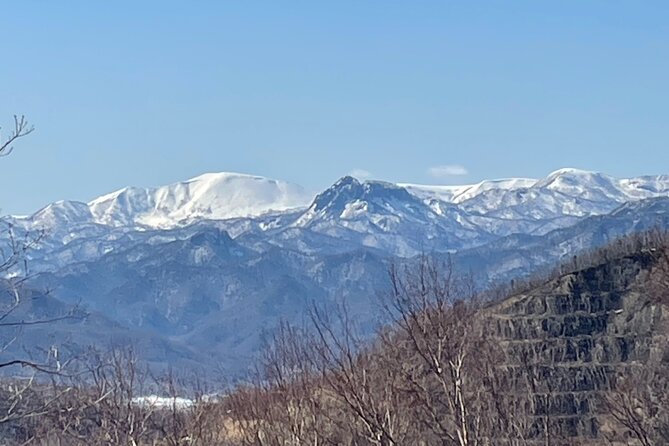 Full Day Snowshoeing Adventures With Onsen. - Lunch and Snacks
