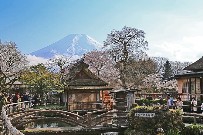 Full Day Tour of Mount Fuji and Hakone From Tokyo - Tour Inclusions