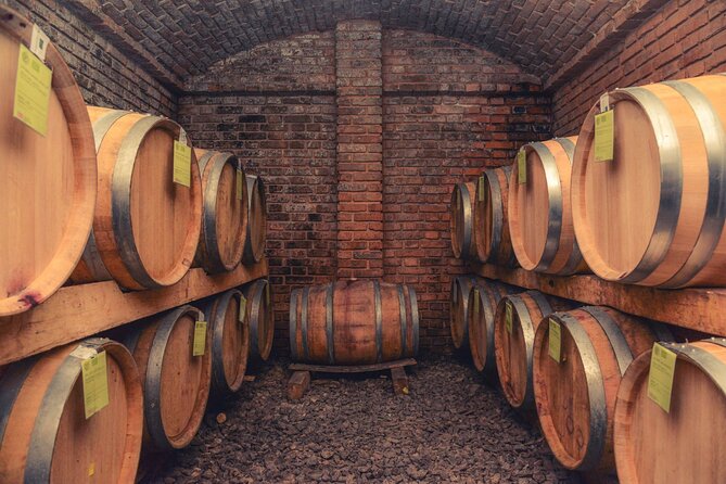 Full Day Trip From Belgrade: Novi Sad City Tour (Winery, Castle, Church) - Transportation Details