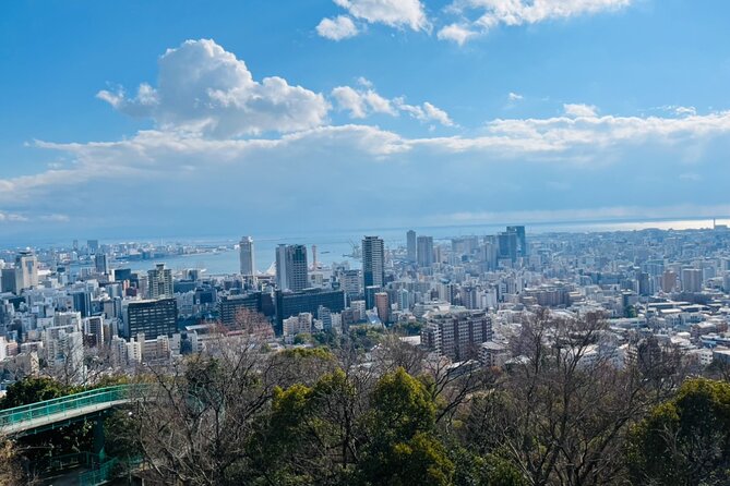 Full Day Walking Tour Around Kobe Mountains Sea and Sake - Meeting and End Point