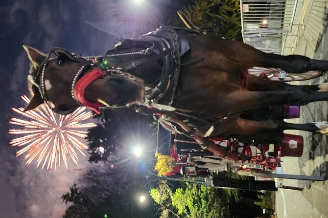 Full Loop Private Horse Carriage Ride in Central Park 45 Minutes - Schedule and Pricing