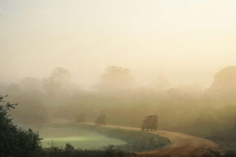 Fully-Loaded Sri Lanka | FREE Trip to Sigiriya and Dambulla - Itinerary Highlights