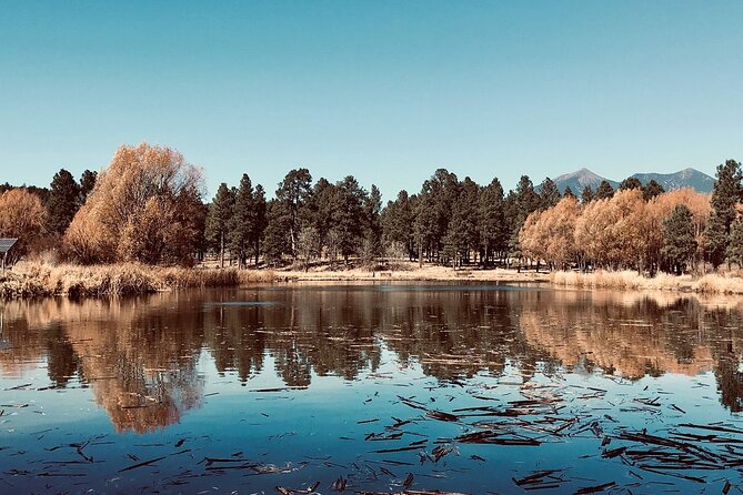 Fun Flagstaff History Segway Tour - Pricing and Booking