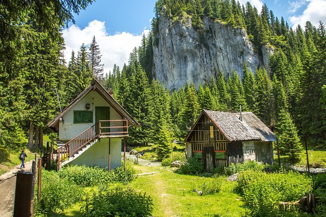 Fun Into the Wild - One Day Tour From Bucharest - Whats Included