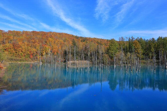Furano Biei Tour Sapporo DEP: English Speaking Driver, No Guide - Pickup Information