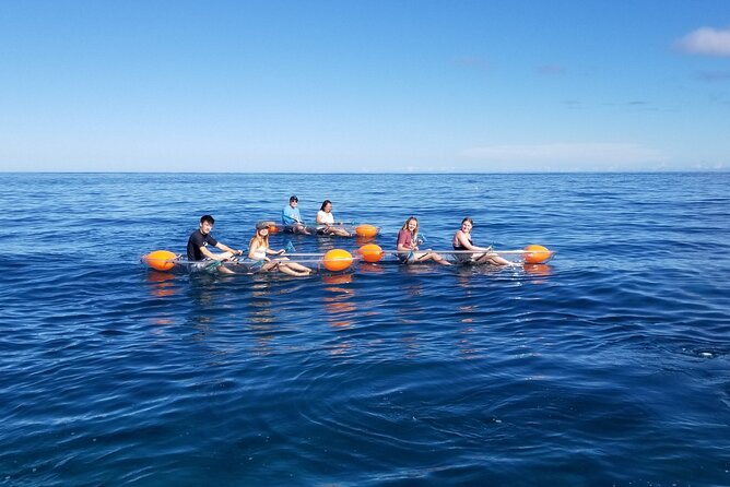 Glass Bottom Kayak - Guaranteed to See Turtles! - Unobstructed Observation of Sea Life