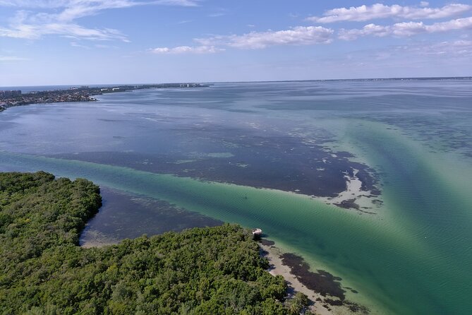 Glass Bottom Kayak Mangrove Tunnel & Sandbar Adventure Sarasota - Kayak Options Available