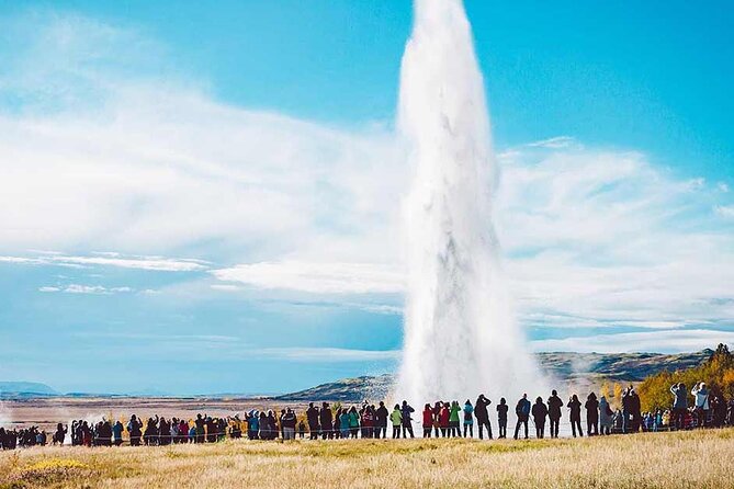 Golden Circle and Friðaheimar Farm Private Tour - Highlights of the Golden Circle