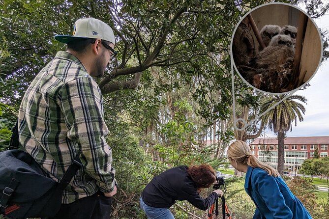 Golden Gate Park Twilight Wildlife Tour Review - Accessibility