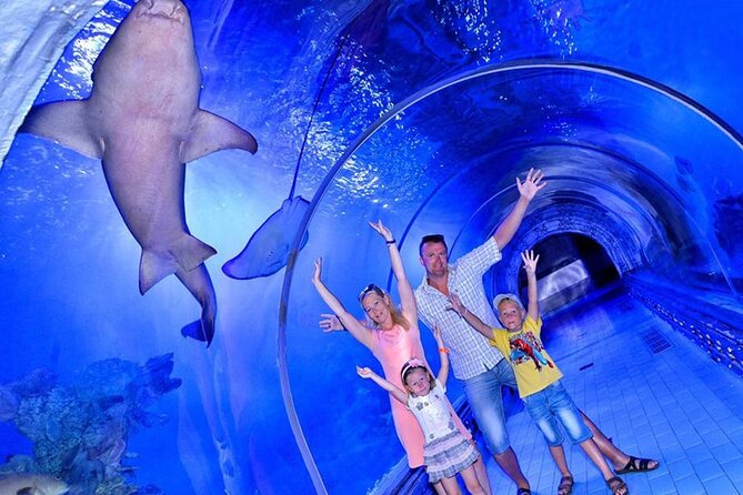 Grand Aquarium Hurghada Amazing Tour With Transfer - Hughada - Transportation Details