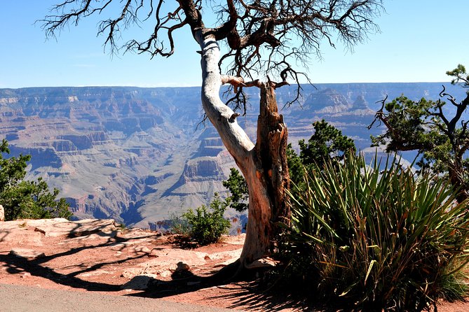 Grand Canyon National Park VIP Tour From Las Vegas - Itinerary and Exploration