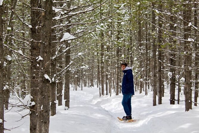 Grand Teton Private Winter Tour - Winter Wonderland