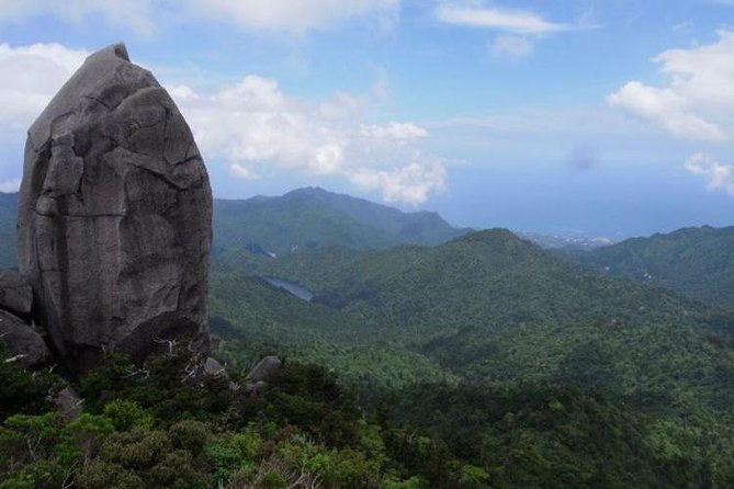 Granite Obelisk in Yakushima Full-Day Trekking Tour - Meeting Information