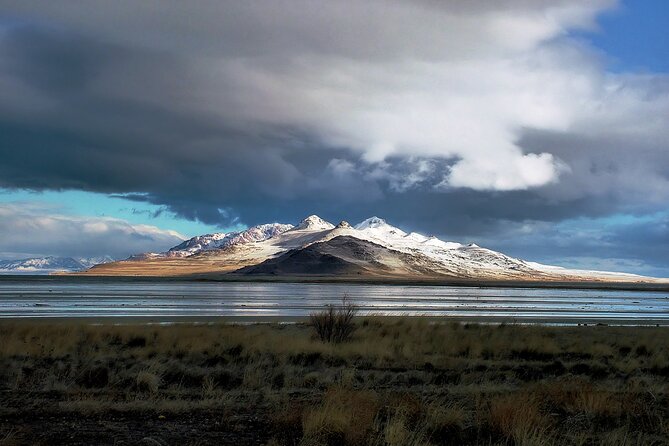 Great Salt Lake and Antelope Island Day Tour - Itinerary and Activities