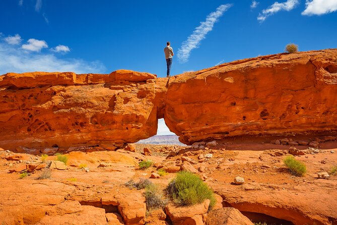 Greater Zion: Dinosaur Tracks in the Desert UTV Tour - Discovering Dinosaur Tracks in the Desert