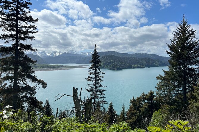 Grewingk Glacier Hike in Kachemak Bay - Meeting and Departure Information