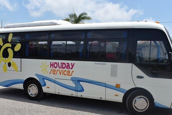 Group Private Montego Bay Cruise Port Transfers - One Way (10 - 15) - Booking Information