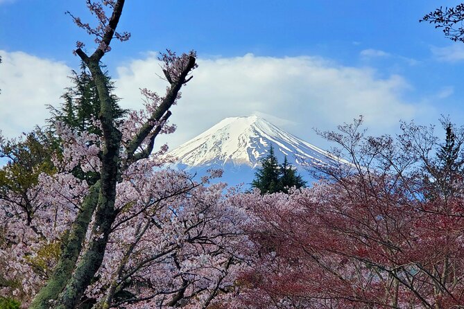 Guided 3 Days Tour Tokyo, Mt. Fuji and Hakone GREEN NUMBER PLATE - Inclusions
