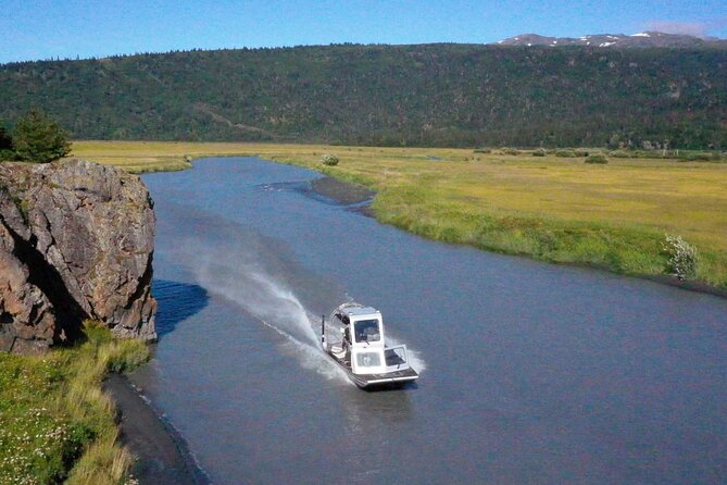 Guided Airboat Tour - Wildlife Encounters
