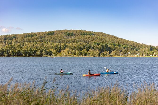 Guided Canoe Tour to the Springs and Highlands of Shirakaba Lake - Glide Through the Tranquil Waters
