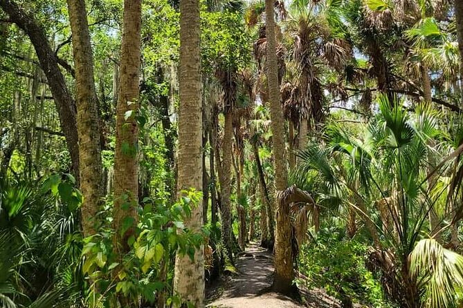 Guided Day Hike Through Floridas Wild Backcountry. - Essential Inclusions