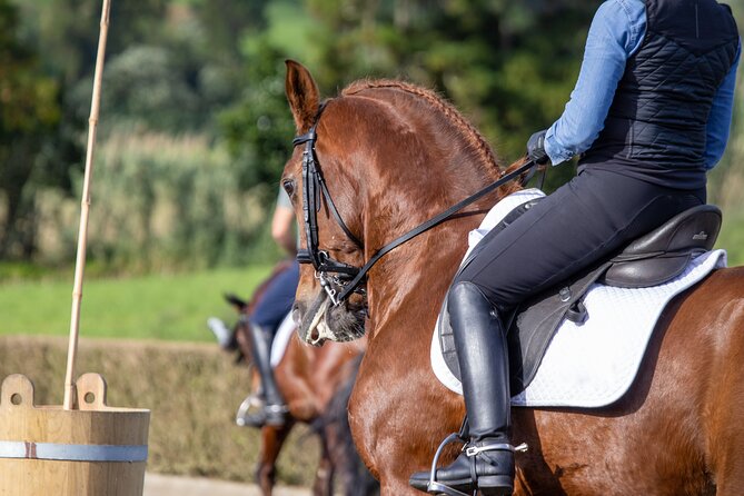 Guided Experience to Learn About Horses and Horse Care - Accessibility Features