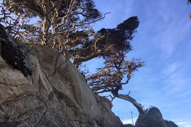 Guided Full-Day Big Sur Hiking Adventure With Lunch - Meeting and Pickup Information