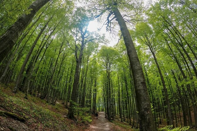 Guided Hiking Adventure in Risnjak and Lokvar Lake - Included Amenities
