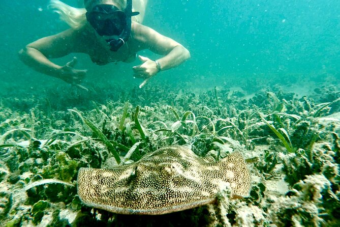 Guided Snorkel Experience, Free Videos in West Palm Beach - Complimentary Underwater Videos