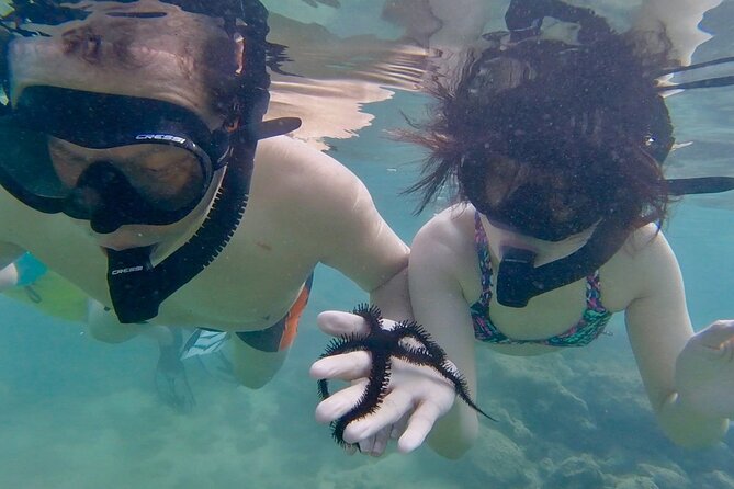 Guided Snorkel Tour for Beginners in Honolulu - Nearby Dining and Attractions