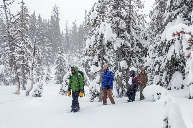 Guided Snowshoe Tour in Bend, Oregon Review - Inclusions