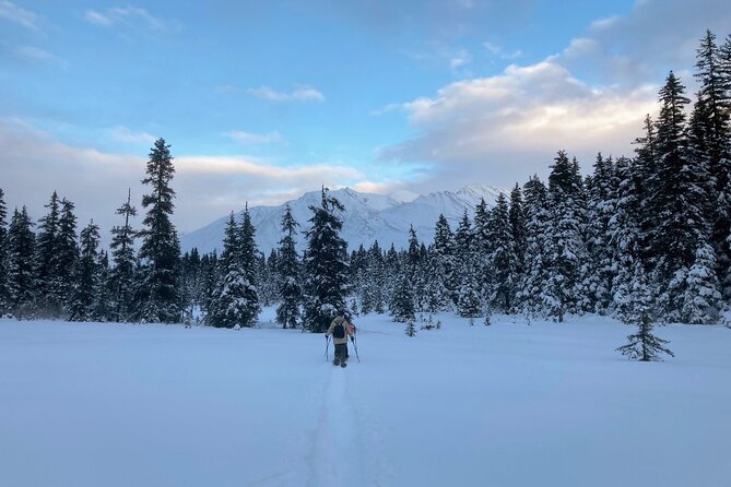 Guided Snowshoeing Adventure in Seward, Alaska - Tour Itinerary
