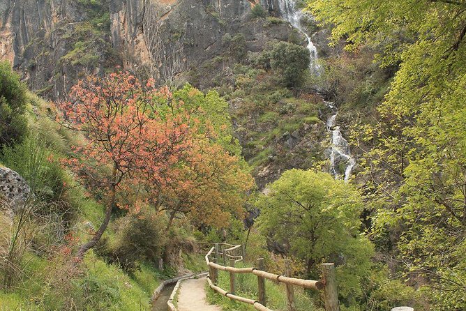 Guided Tour: Hanging Bridges Los Cahorros (S.N.) - Inclusions