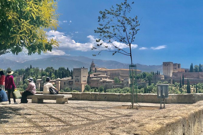 Guided Tour in Granada - Gosia Granada Guide - Accessibility and Special Requirements