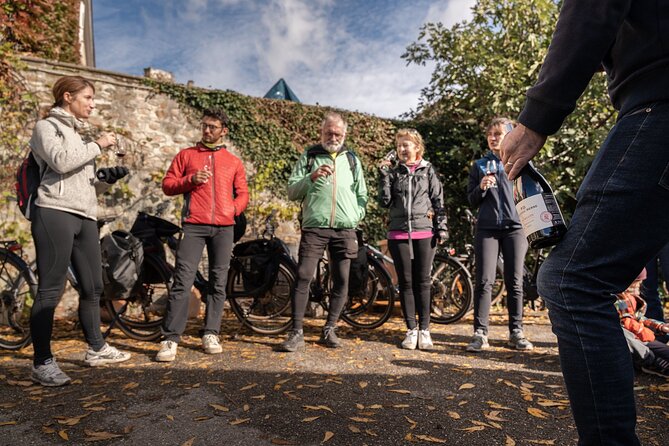Guided Tour of Beaujolais by Electric Bike and Wine Tasting - Tips for Your Adventure