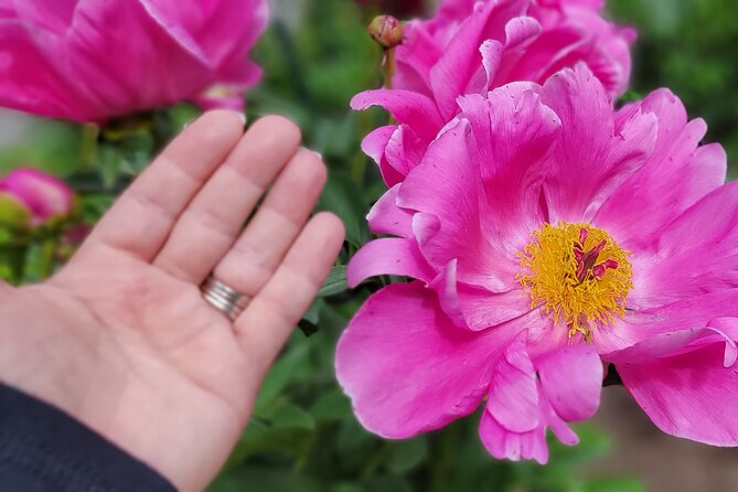 Guided Tour of the Alaska Botanical Garden - Accessibility Information