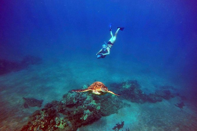 Guided Turtle Town Snorkel Tour With Sea Scooter - Makena - Health and Safety Information