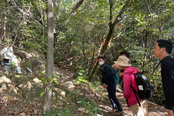 Guided Walking Ohenro Pilgrimage Experience in Dogo Hot Spring - Discover the Dogo Hot Spring Landscape